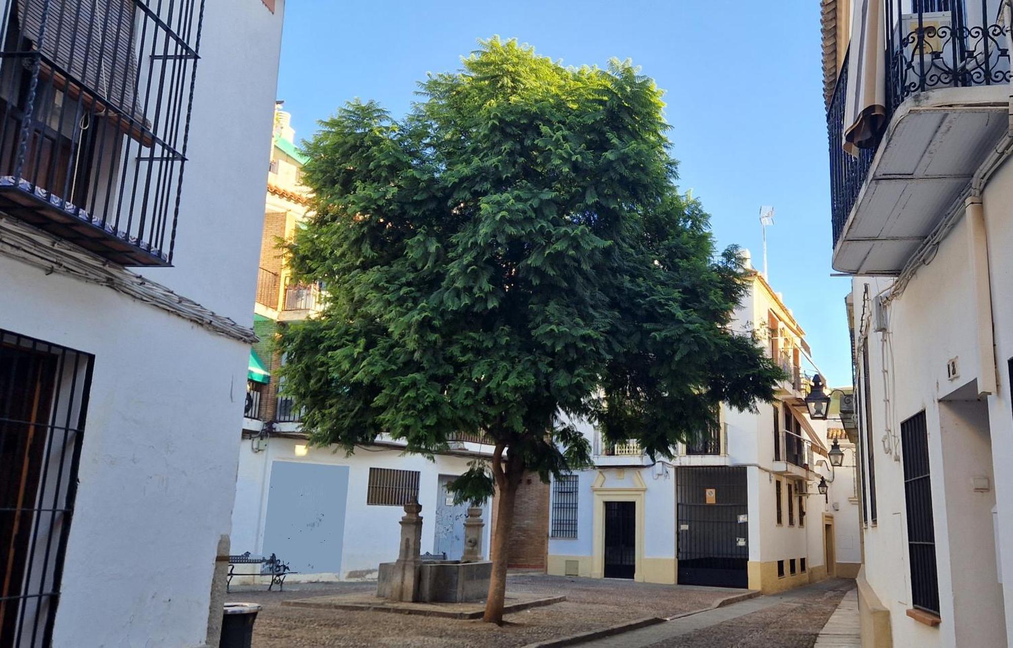 Terraza De La Axerquia Córdoba Exterior foto